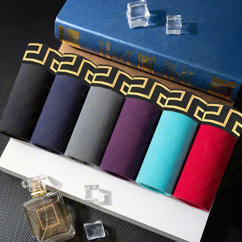 2025 Luxury Men's Designer Boxer underwear Sexy classic Men's Boxer casual shorts Soft breathable underwear size M-2XL