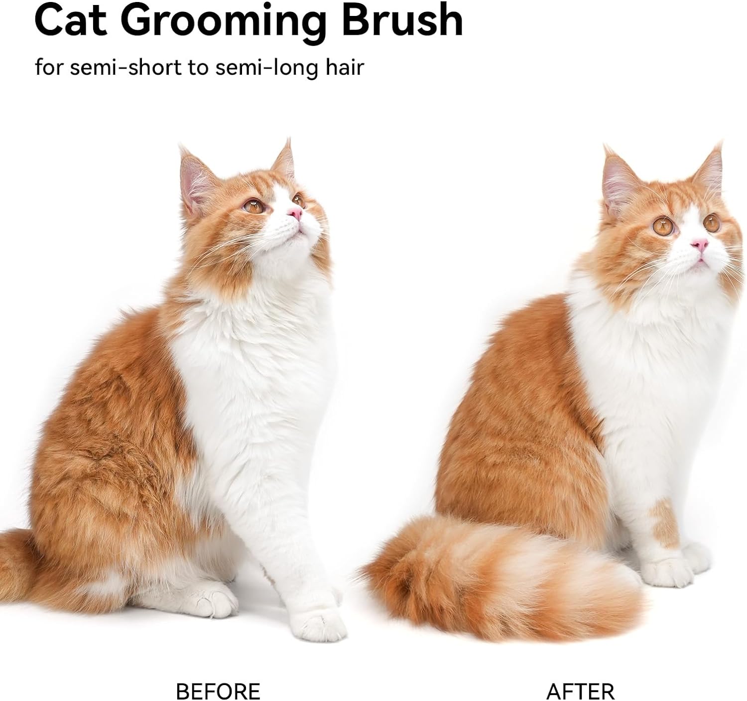 Cat Shedding, Grooming Brush Deshedding Tool Indoor Cats, Gentle Pet Hair Remover for Dogs and Kittens Free shipping