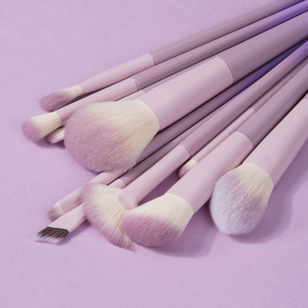 New Star Dust Purple 10-piece Makeup Brush Set - Complete Set of Soft Brushes for Purple Makeup, Powder Blending, Eye Shadow Application and Beauty Ca