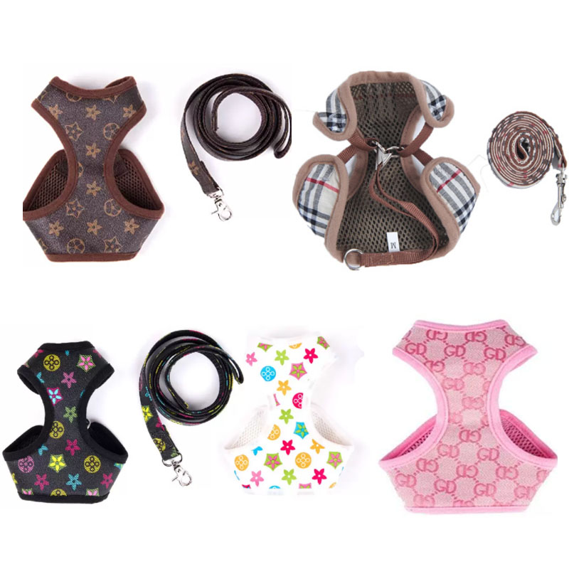 Breathable Mesh Designer Dog Cat Harness Leash Set, Soft Vest No Pull Pet Harness, Adjustable Outdoor Walking Lead for Small Dogs Puppies Cats