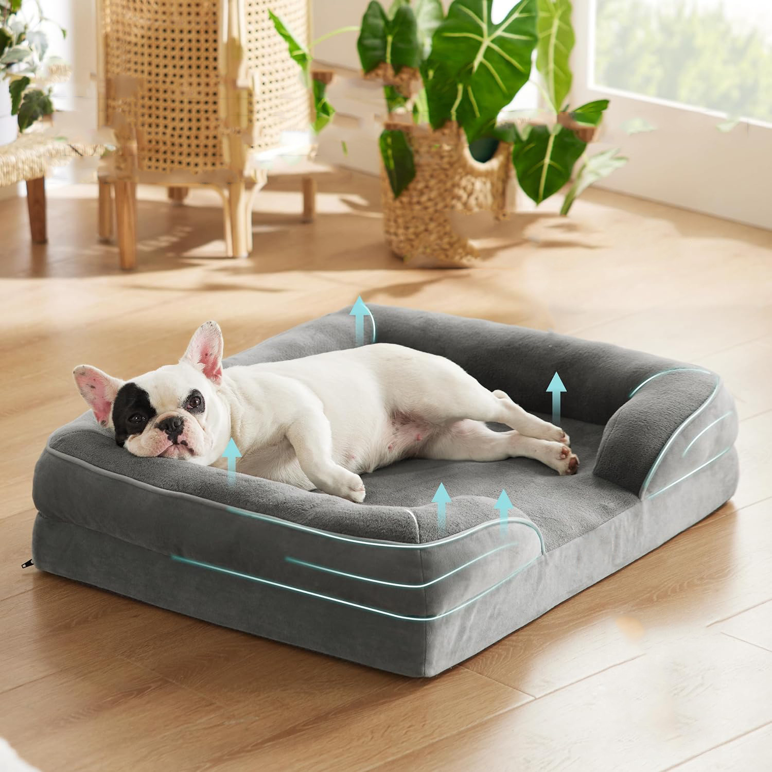Pet supplies dog plush sofa comfortable and washable universal medium and large pet nest