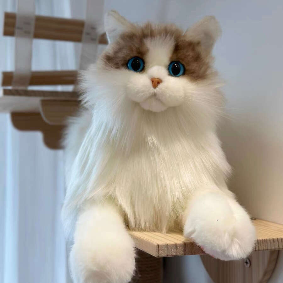 Style Realistic Ragdoll Plush Little Cat Stuffed Doll Children's Toy Birthday Gift