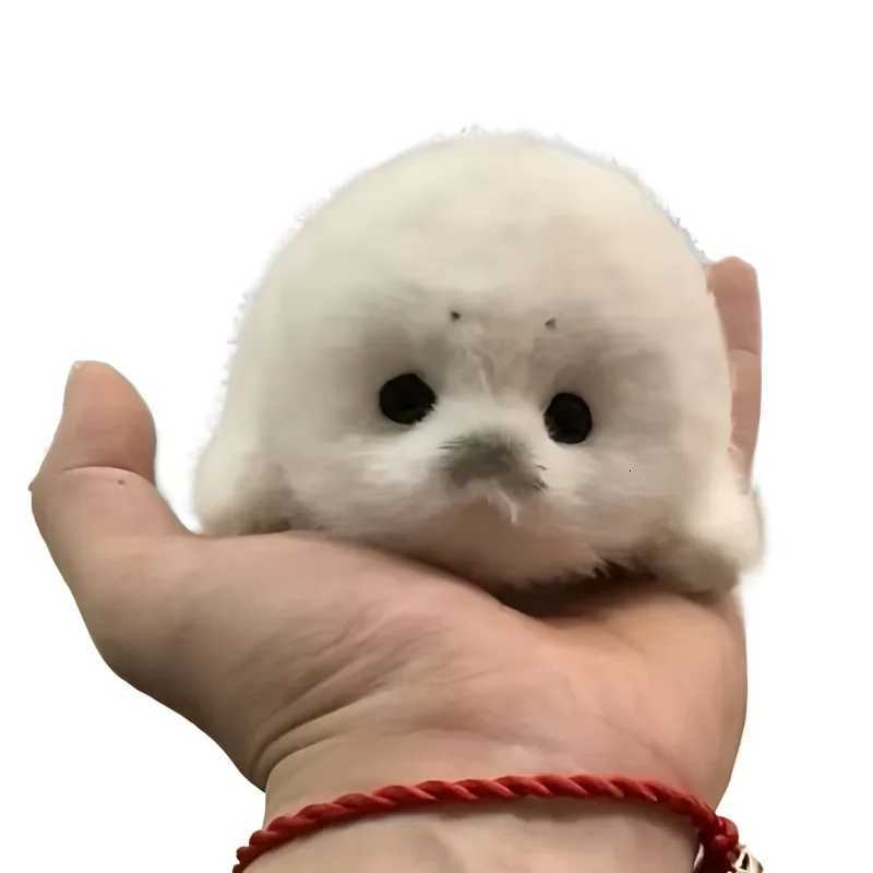 Soft Grey Seal Plush Keychain White Seal Plushies Animal Pendant Fashion Stuffed Doll Keyring Car Key Accessories Car OrnamentsXJ251125