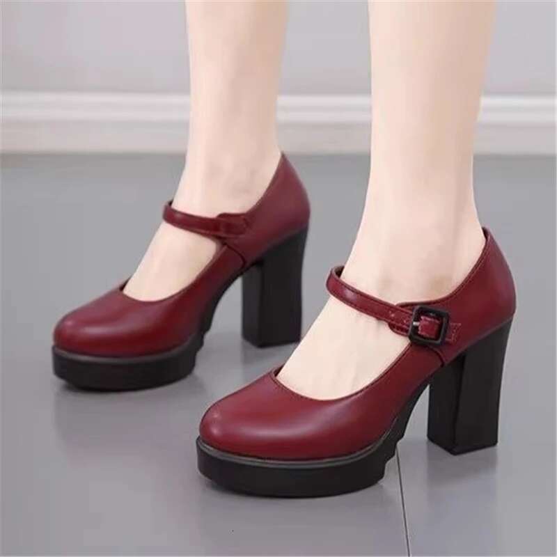 Spring new round toe shallow leather waterproof platform square heel high-heeled banquet dress large-size women's shoes