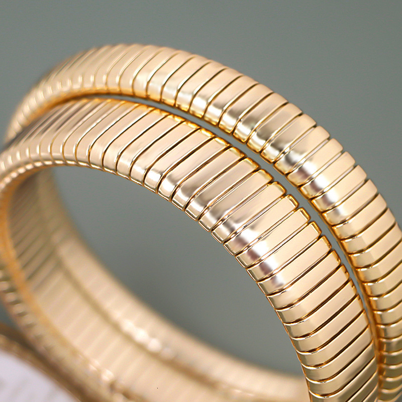 Luxury Brand Designer Watches Foreign Trade Snake-Shaped Quartz Watch For Women, Fashionable Two-Circle Steel Band Watch, Versatile Gradient Bracelet 