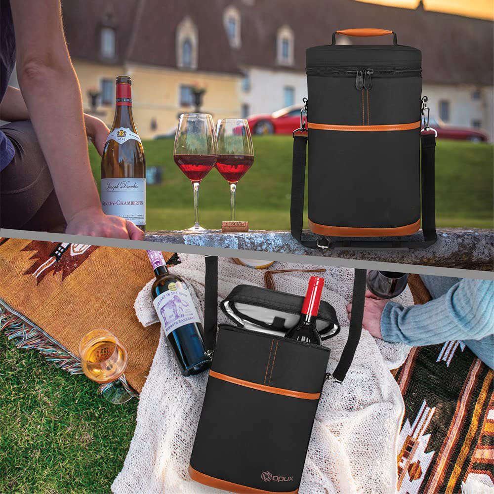 2 Bottle Wine Carrier Tote, Insulated Leakproof Wine Cooler Bag, Wine Travel Bag for Picnic BYOB Beach, Portable Wine Bottle Carrying Case, Gift