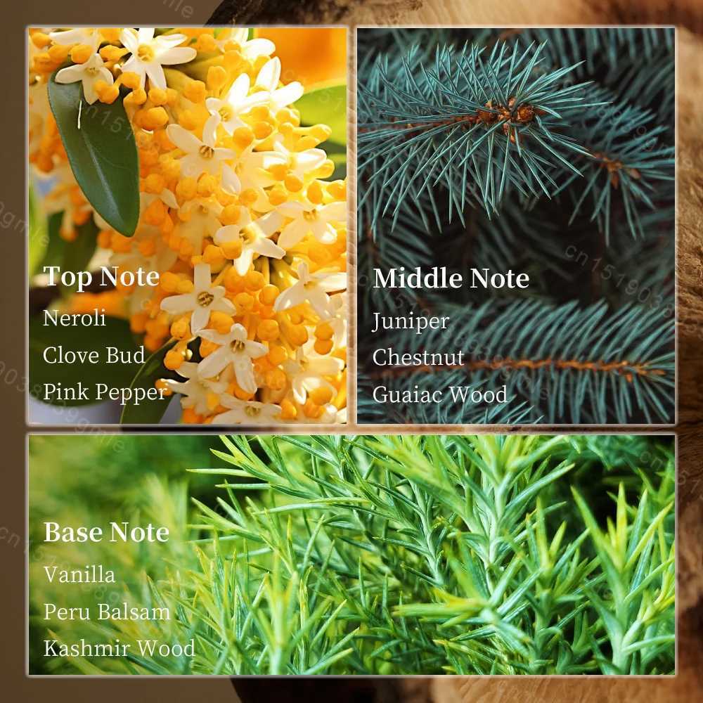 Woman Lazy Weekend Perfume - Natural Floral Fragrance Citrus Eau De Parfum Sexy Long-Lasting Pheromone Charm for Weekend C251125