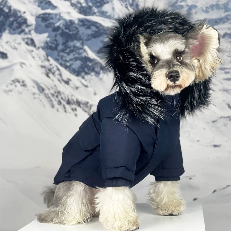 Winter Dog Fur Collar Cotton Coat, Cold-Resistant Pet Parka, Fashion Hooded Puppy Jacket, Stylish Snowshoe Bichon Shiba Inu Apparel, Small Medium Dog 