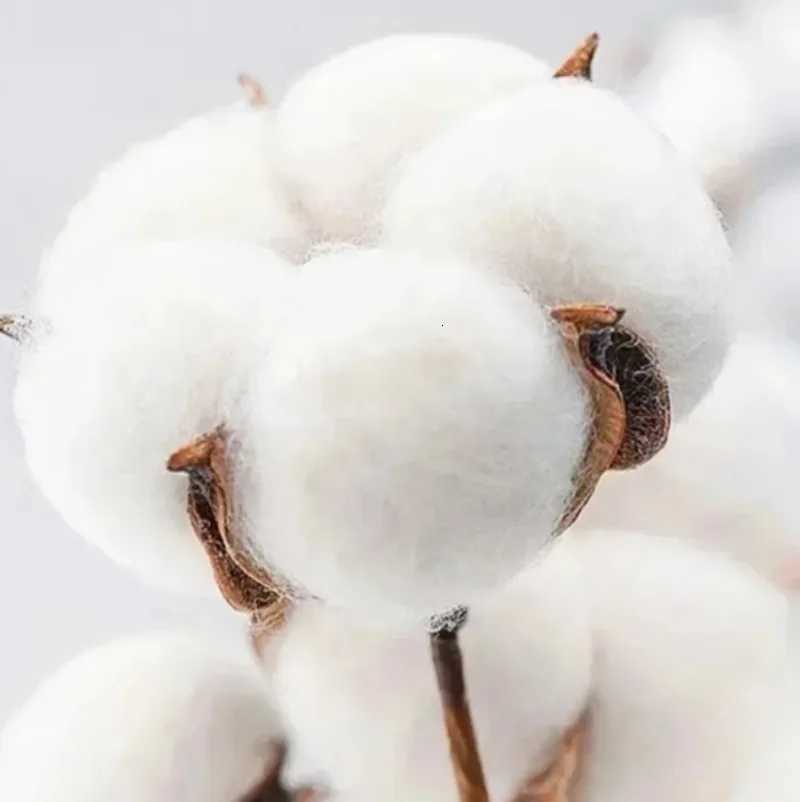 Fashion Anime Lonely Rock Nirvana Band NIRVANA Hooded Sweater Y251125