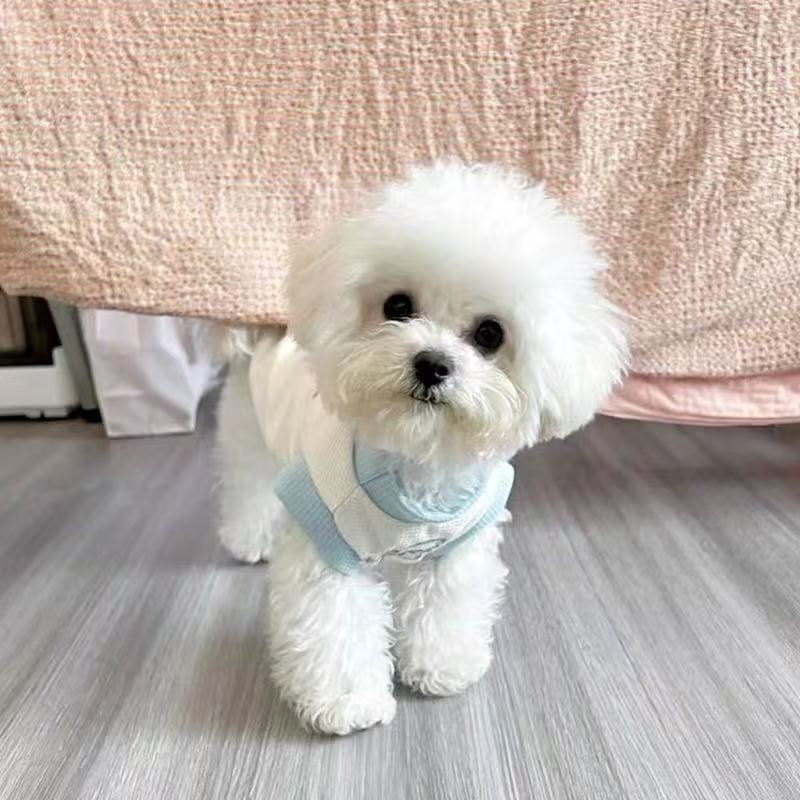 T00392 Pet dog clothes summer thin Teddy Bichon Pomeranian anti-hair loss small puppy summer cat vest