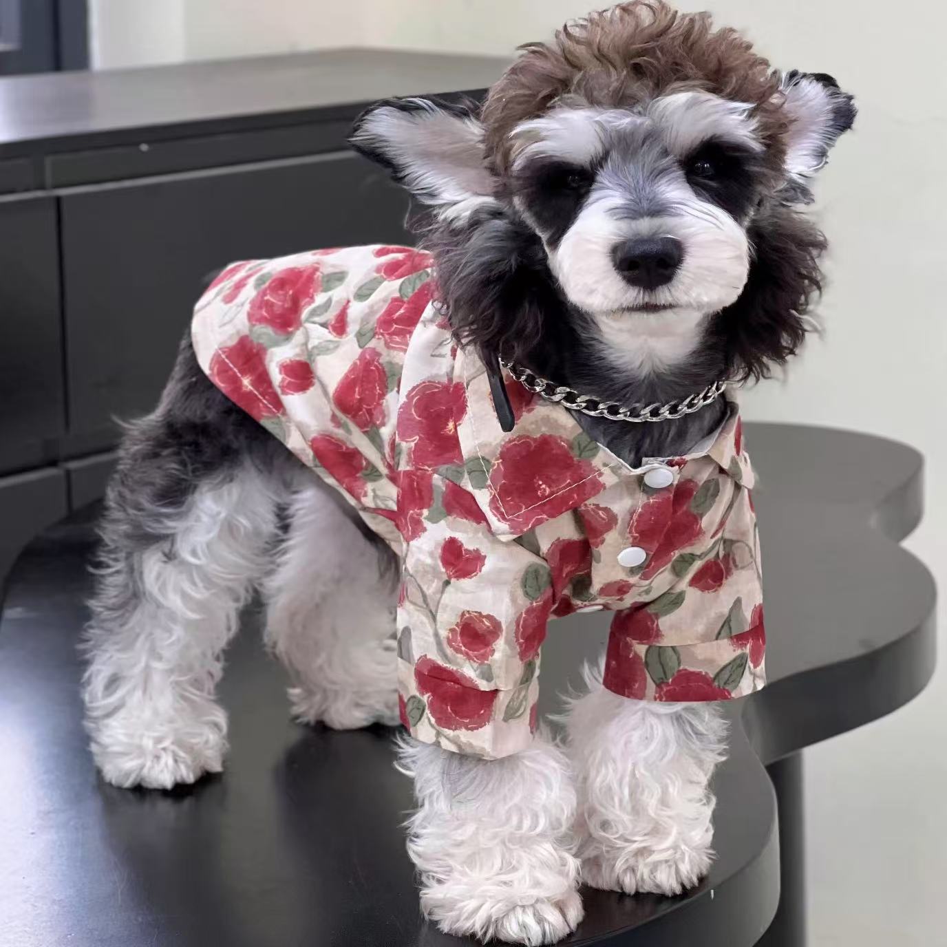 T0073Dog clothes spring and summer pet old flower denim shirt trend cat summer small and medium dogs Teddy Bichon Schnauzer