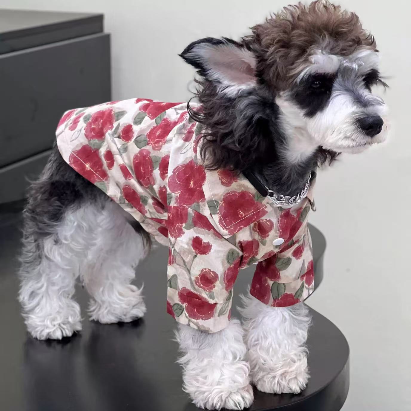 T0073Dog clothes spring and summer pet old flower denim shirt trend cat summer small and medium dogs Teddy Bichon Schnauzer