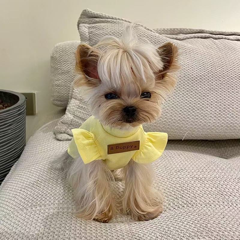 T00064New summer dog clothes vest thin cool breathable