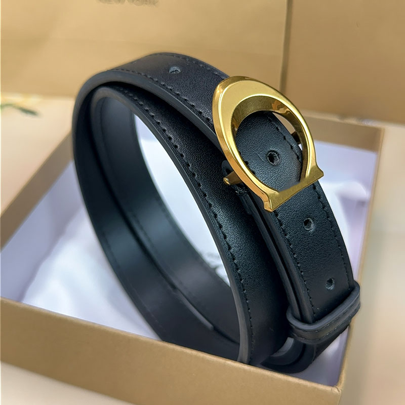 Hot luxury belt Fashion designer belt brand belts gold silver buckle cintura belts for women designer cinture width 2.5cm with box gift high quality