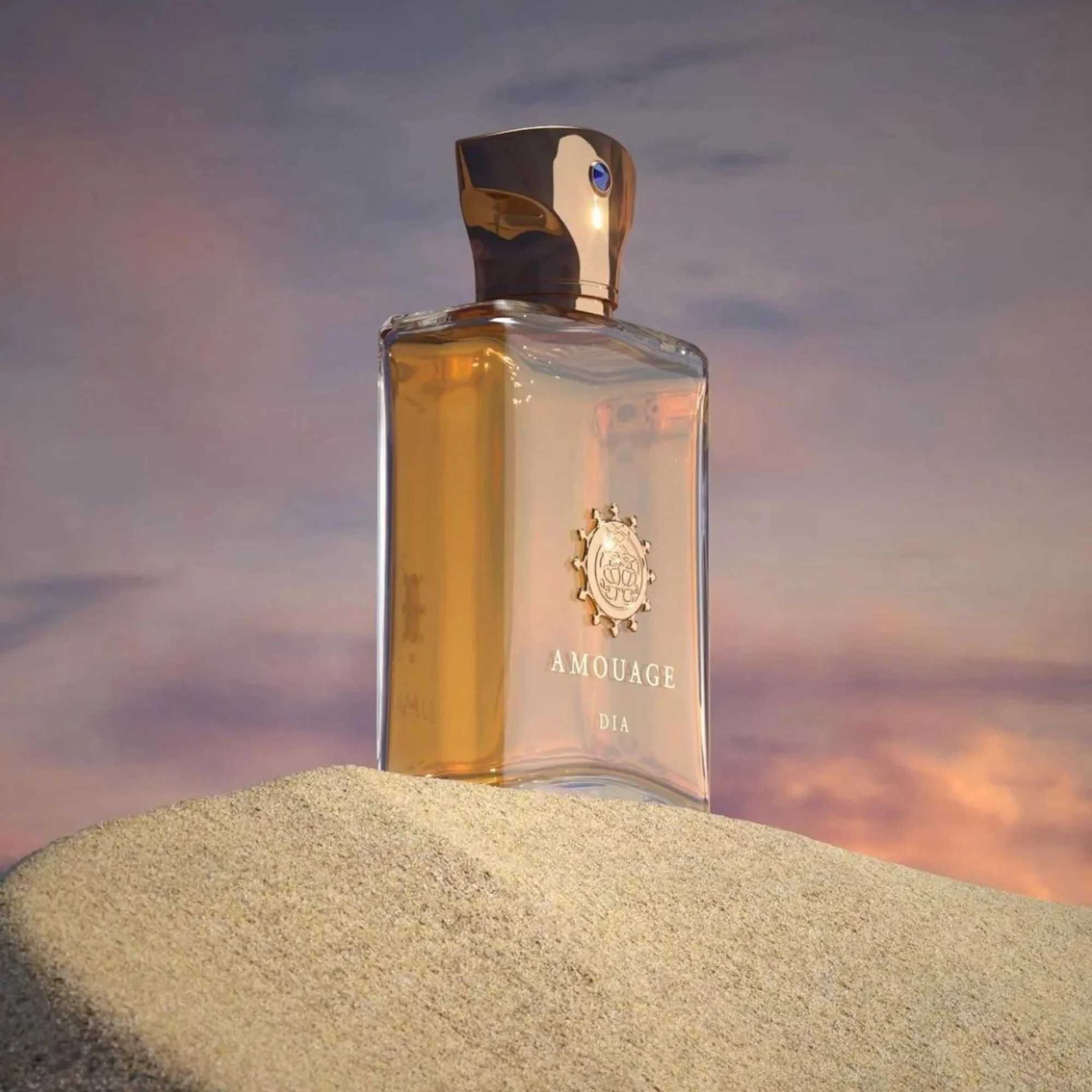 Amouage Dia Man Pheromone Fragrance Arabian Womens Perfume Pheromone Cologne for Man Attract The Opposite Sex Birthday Present C251126