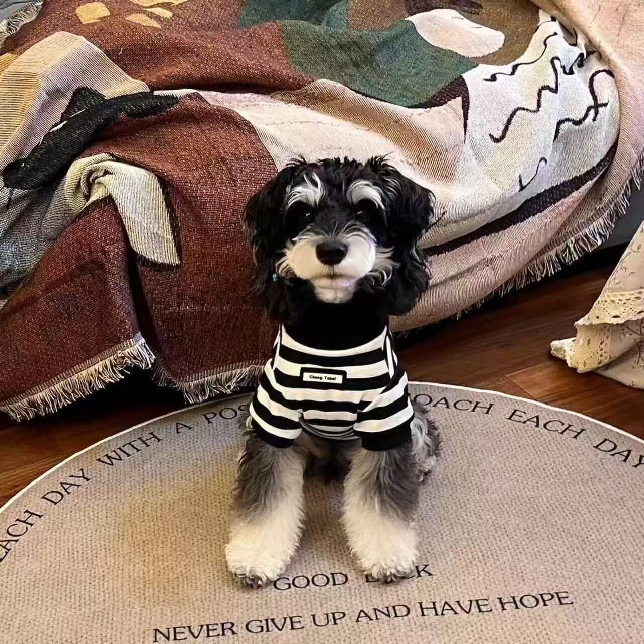 T0074Dog clothes summer thin Teddy Bichon Pomeranian Schnauzer small dog pet cat spring and summer clothes