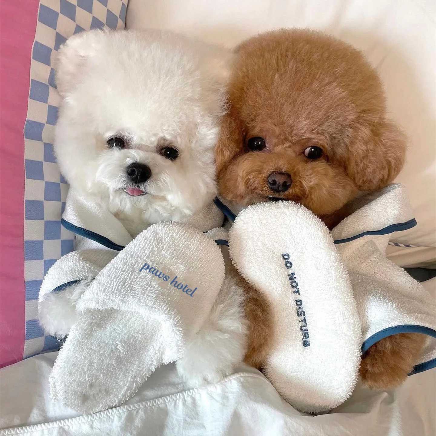 Cute INS Hotel Style Puppy Dog Clothes Pet Bath Towel Bathrobe Photo Props Nightgown Pajamas Designer Bichon Teddy Bulldog Gift Y251126