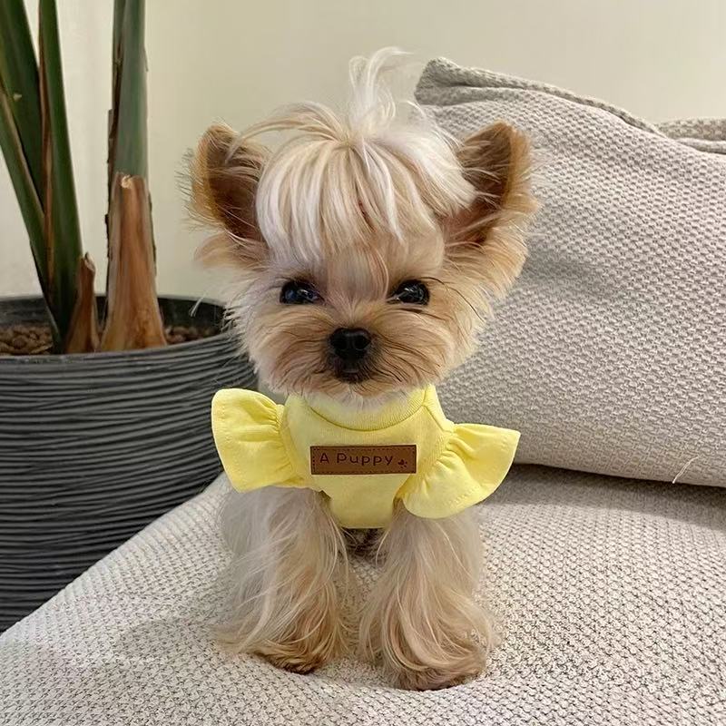 T00064New summer dog clothes vest thin cool breathable
