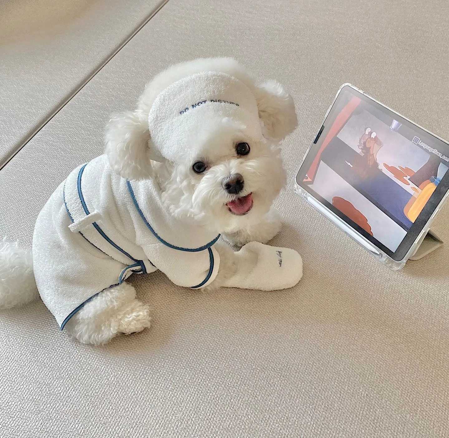 Cute INS Hotel Style Puppy Dog Clothes Pet Bath Towel Bathrobe Photo Props Nightgown Pajamas Designer Bichon Teddy Bulldog Gift Y251126
