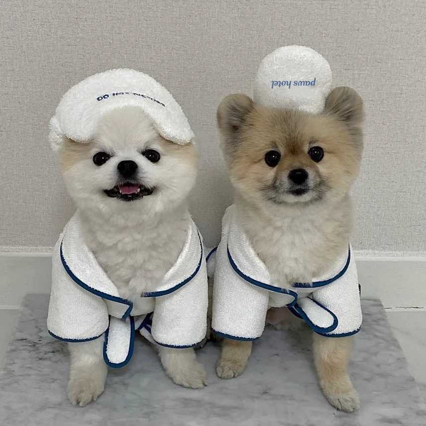 Cute INS Hotel Style Puppy Dog Clothes Pet Bath Towel Bathrobe Photo Props Nightgown Pajamas Designer Bichon Teddy Bulldog Gift Y251126