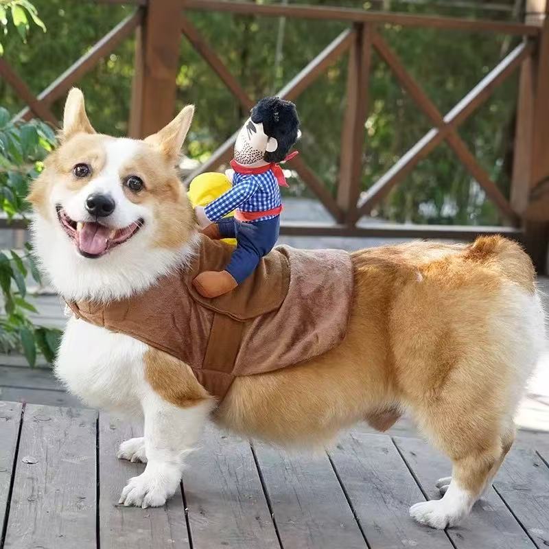 T0071Pet clothes for dogs and cats, super hot internet celebrities, funny knights, funny costumes, funny small and medium-sized dogs, photo shoot