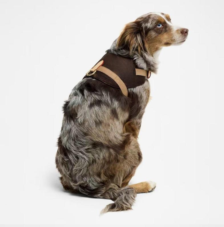 Dog Harness Collar and Leash Set with Classic Letter No Pull Dog Harness Soft Adjustable Luxurious Pet Leather Leashes Dizitime - view 7