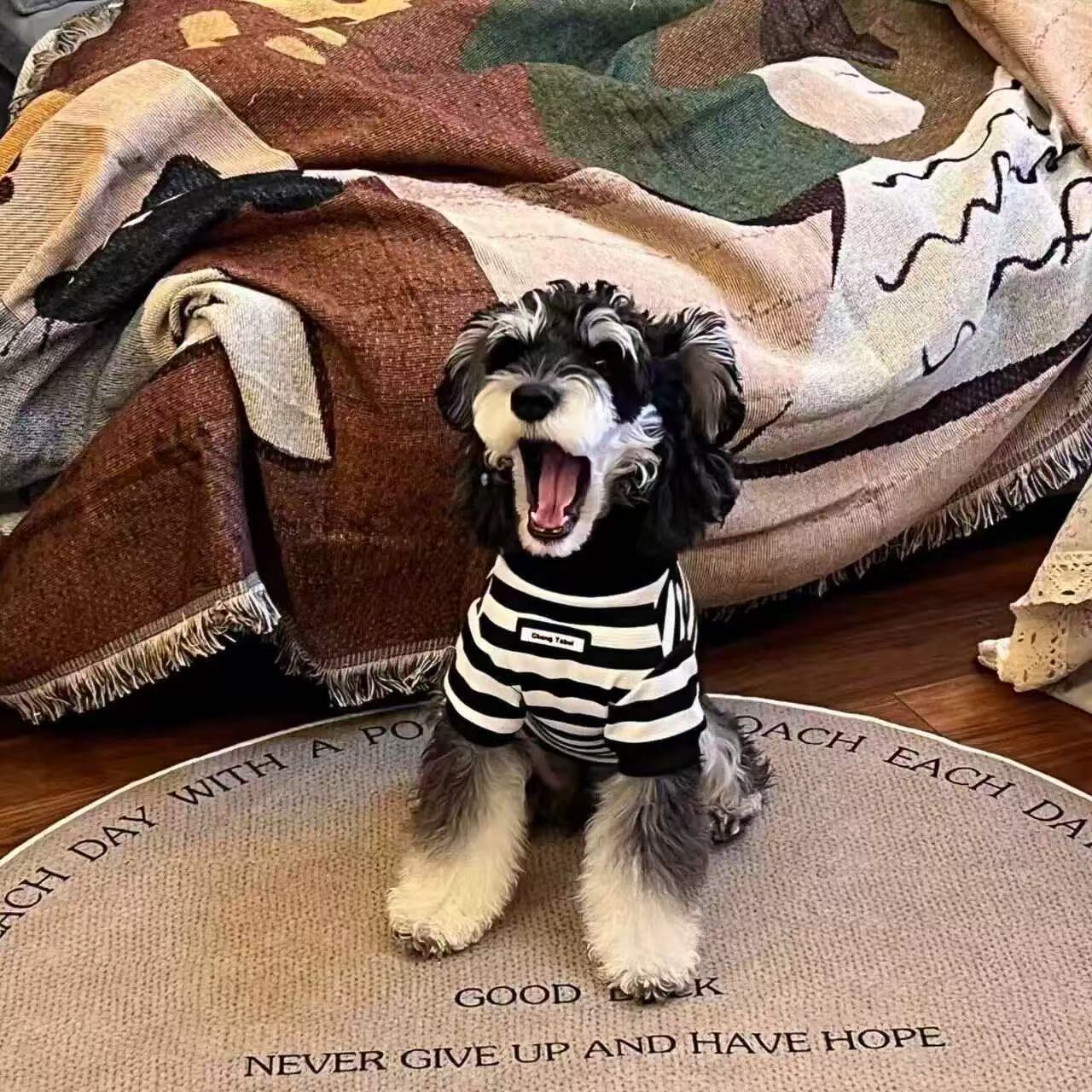 T0074Dog clothes summer thin Teddy Bichon Pomeranian Schnauzer small dog pet cat spring and summer clothes