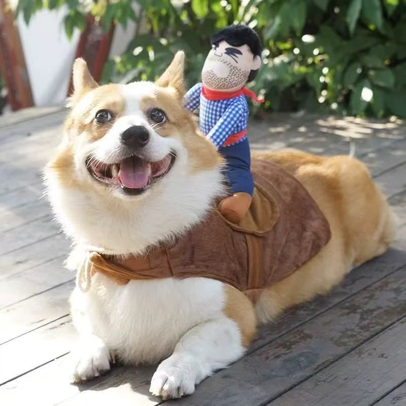 T0071Pet clothes for dogs and cats, super hot internet celebrities, funny knights, funny costumes, funny small and medium-sized dogs, photo shoot