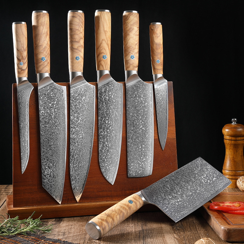 5 Practical Small Knife 67 Layer Damascus Steel Chef Knife Kitchen Chop Fruits Vegetables Meat Japanese Handmade Cooking Tool 250312
