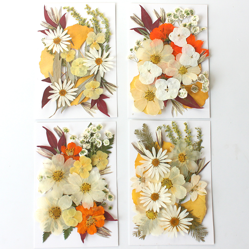 100PCS Mixed Color Dry Embossed Daisy Stickers - Resin Jewelry Candle Soap Vase Making Nail Cards Scrapbook Art Flower Art Crafts