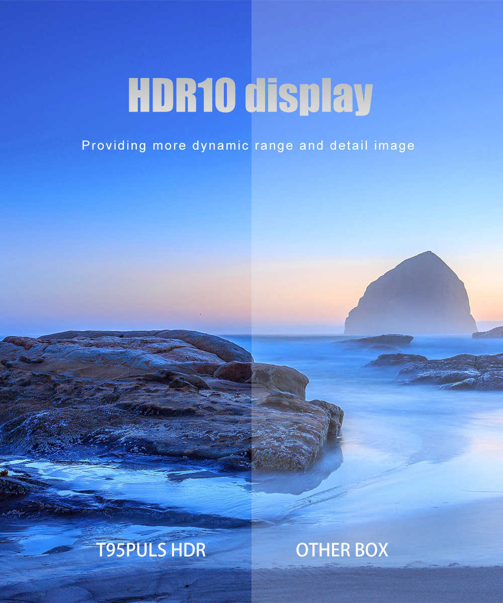 Please indicate the plug specification T95PLUS RK3566 Smart TV Box with Dual-Band 5G WiFi and Bluetooth X250602