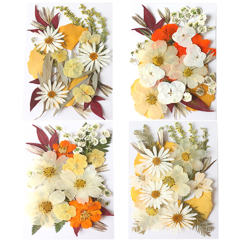 100PCS Mixed Color Dry Embossed Daisy Stickers - Resin Jewelry Candle Soap Vase Making Nail Cards Scrapbook Art Flower Art Crafts