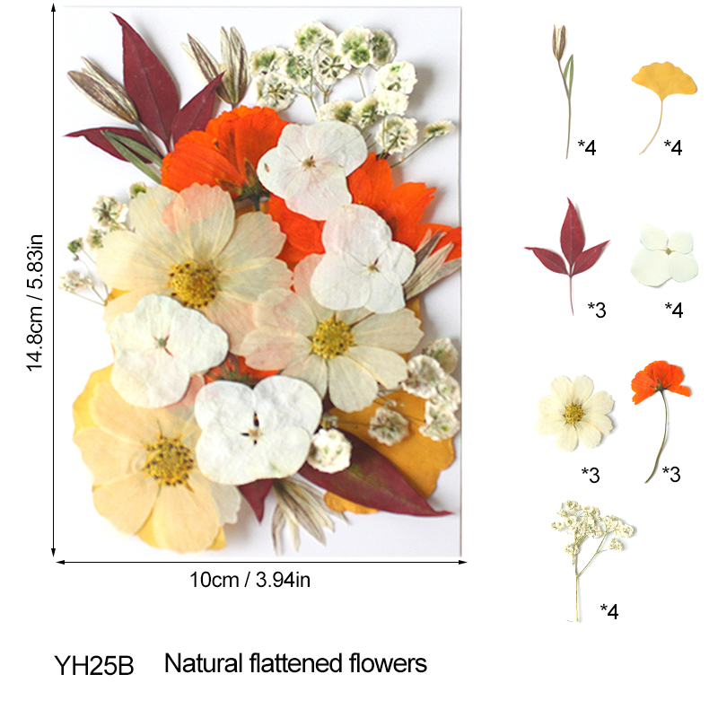 100PCS Mixed Color Dry Embossed Daisy Stickers - Resin Jewelry Candle Soap Vase Making Nail Cards Scrapbook Art Flower Art Crafts