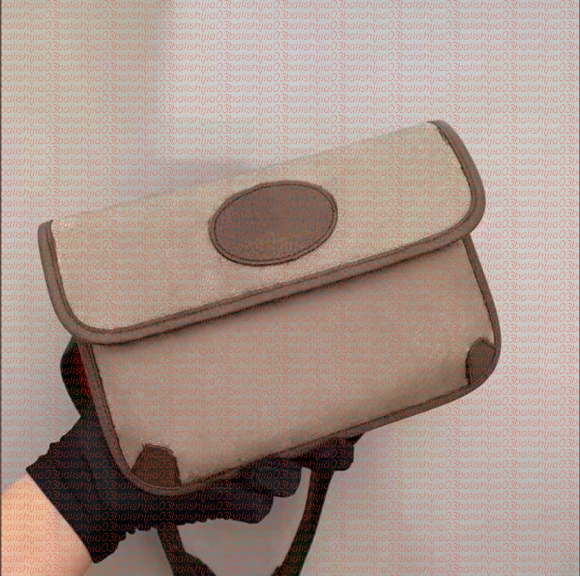 Luxurys Classic Ophidia Chest Bum bag Waist Bags Cross Body Bag Totes Bumbag Designer bag Men Womens Wallets Nylon Bag Fanny Packs Waistpacks Leather Purse B03