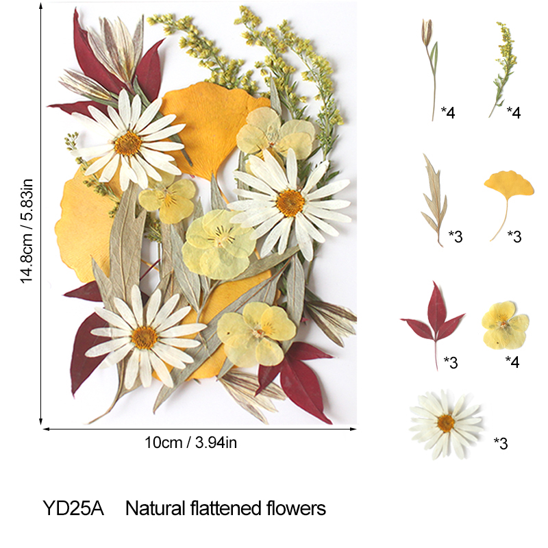 100PCS Mixed Color Dry Embossed Daisy Stickers - Resin Jewelry Candle Soap Vase Making Nail Cards Scrapbook Art Flower Art Crafts