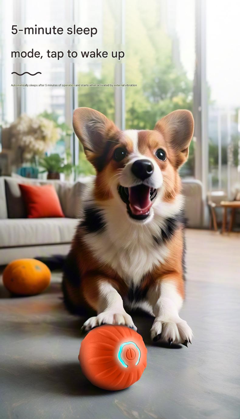 Gravity smart jumping ball electric charging cat and dog toy self-hi pet dog artifact ball electric smart pet ball