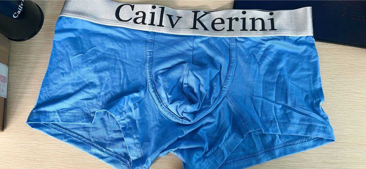5PCS Men Underwear Boxers Mens Underpants Cotton Solid Sexy Cueca Brand Boxer For Mens Cotton Shorts Panties Calzoncillos 2024 X250319