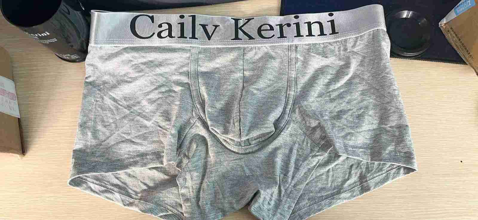5PCS Men Underwear Boxers Mens Underpants Cotton Solid Sexy Cueca Brand Boxer For Mens Cotton Shorts Panties Calzoncillos 2024 X250319