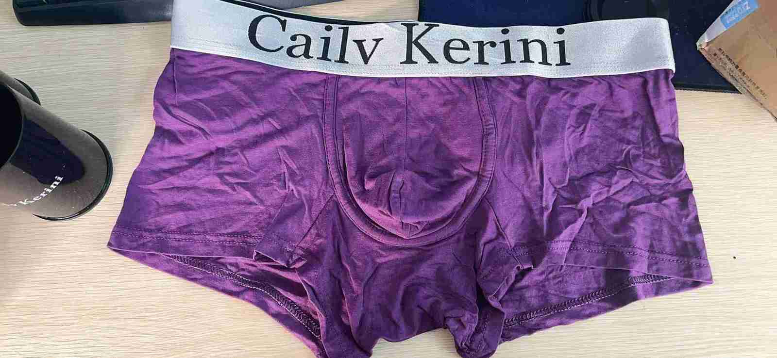 5PCS Men Underwear Boxers Mens Underpants Cotton Solid Sexy Cueca Brand Boxer For Mens Cotton Shorts Panties Calzoncillos 2024 X250319
