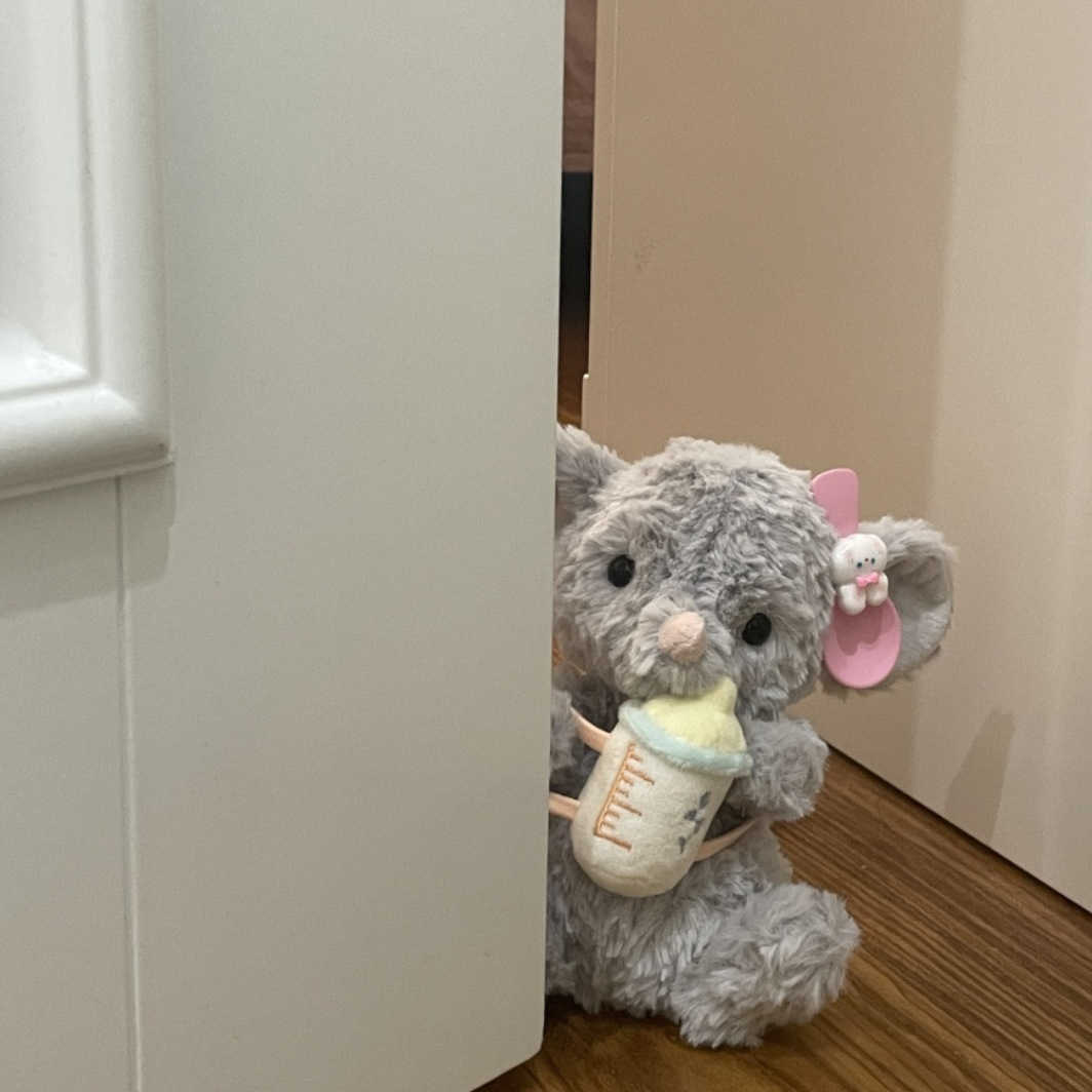 2026 Wholes of Christmas gifts Sweet Little Plush Toy Gift Cute Doll Stuffed jellyscat 50 C251202