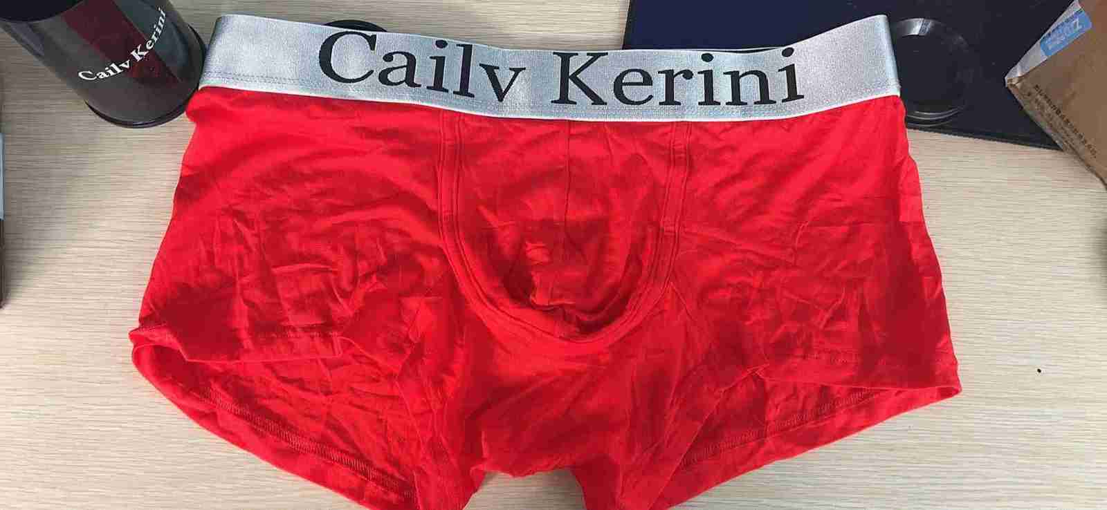 5PCS Men Underwear Boxers Mens Underpants Cotton Solid Sexy Cueca Brand Boxer For Mens Cotton Shorts Panties Calzoncillos 2024 X250319