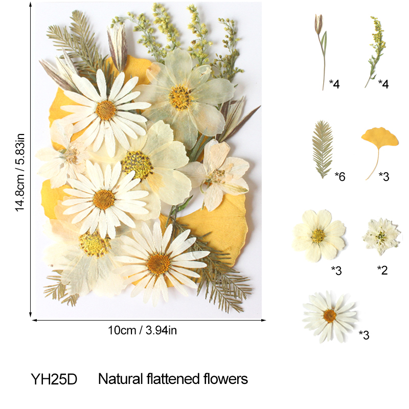 100PCS Mixed Color Dry Embossed Daisy Stickers - Resin Jewelry Candle Soap Vase Making Nail Cards Scrapbook Art Flower Art Crafts