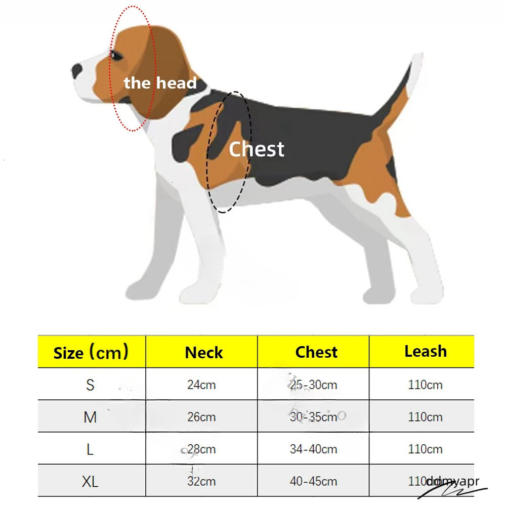 Bone Paw Print Pattern Gradient Color Harness, Pull Harness For Small Dogs, Soft Adjustable Step In No Choke Ddmydec Dog Harnesses And Leash Set, Blue