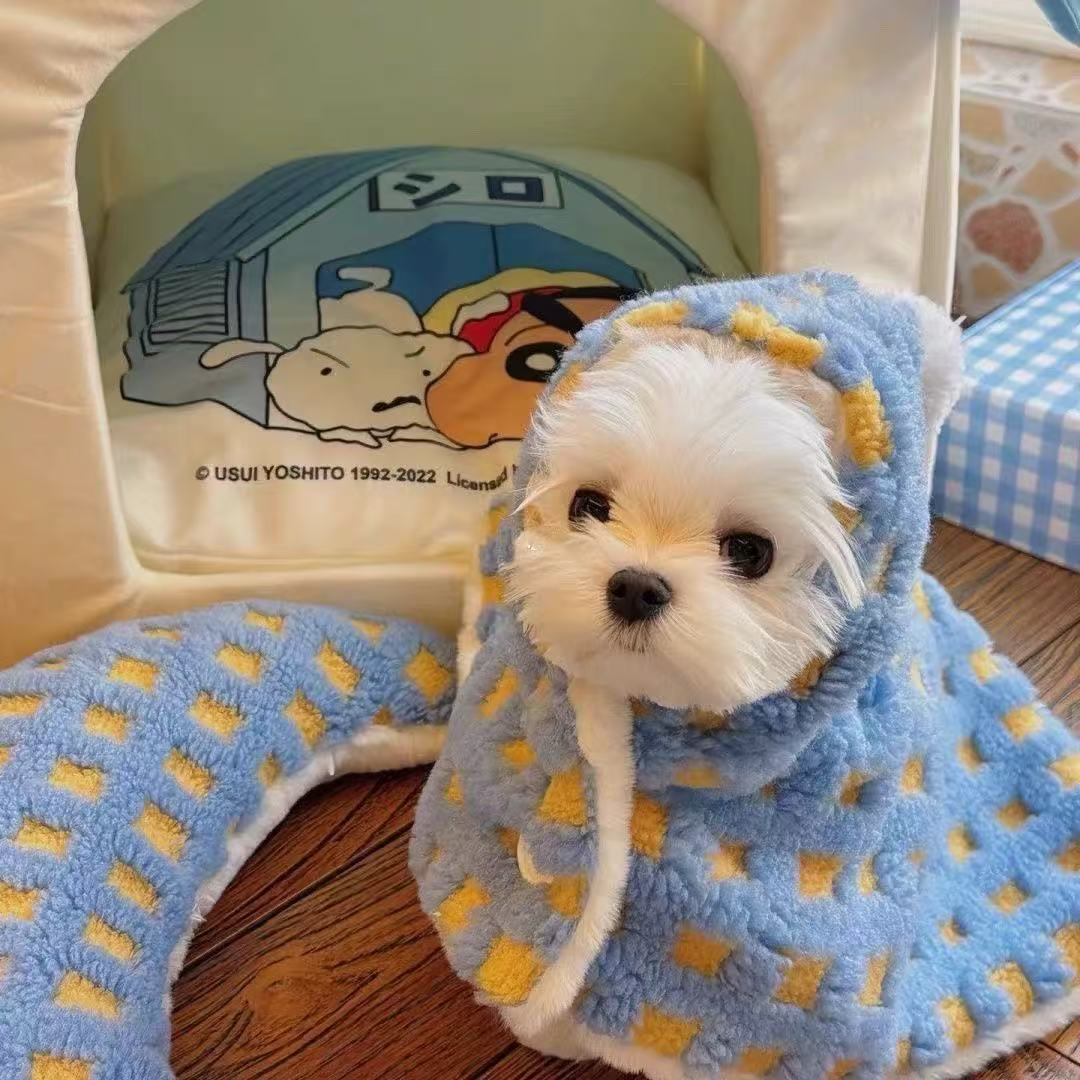 T0092Clothes dog sweatshirt autumn and winter winter autumn plus velvet warm two-legged cotton coat for small puppies