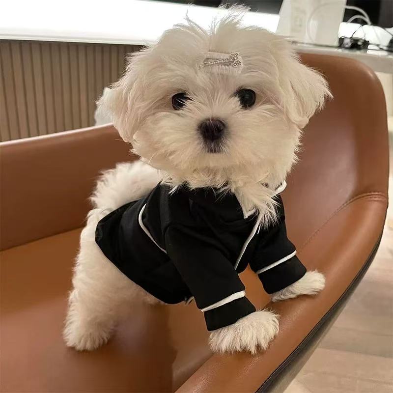 T0077 Small dog suspender vest special clothes summer summer style breathable thin style ultra small dog