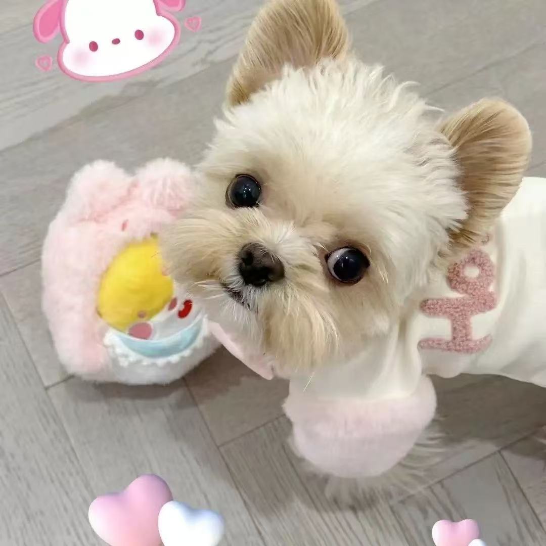 T0087Clothes skirt puppy Yorkshire sweater autumn and winter winter winter clothes small dog