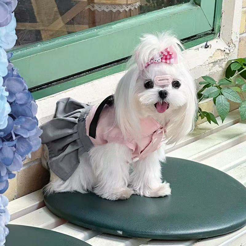 T0085Dog sweatshirt autumn and winter winter plus velvet warm two-legged cotton coat for small puppies