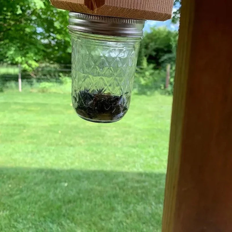 Carpenter Bee Trap - Five story roof style natural hanging carpenter bee trap - insect trap with detachable safe 250425