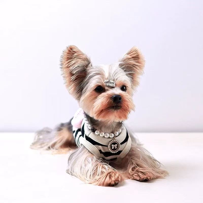T0078Special clothes for small dogs Yorkshire terrier hooded sweatshirt autumn and winter style winter clothing small dog