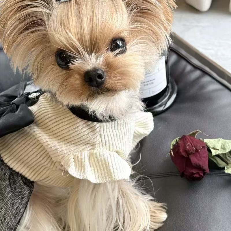 T00076Maltese special clothes pet puppy Yorkshire terrier pajamas autumn and winter thin home clothes belly protection